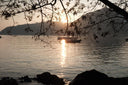 SoL blog: a serene sunset scene of boats on the water