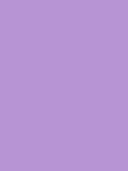 Polo Pullover - Mallow
