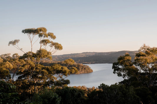 Nature in Australia with Water